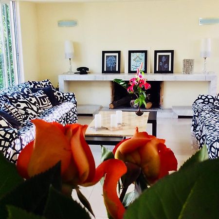 Casa Roa (Adults Only) Daire Meksika Dış mekan fotoğraf