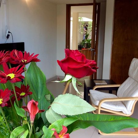 Casa Roa (Adults Only) Daire Meksika Dış mekan fotoğraf