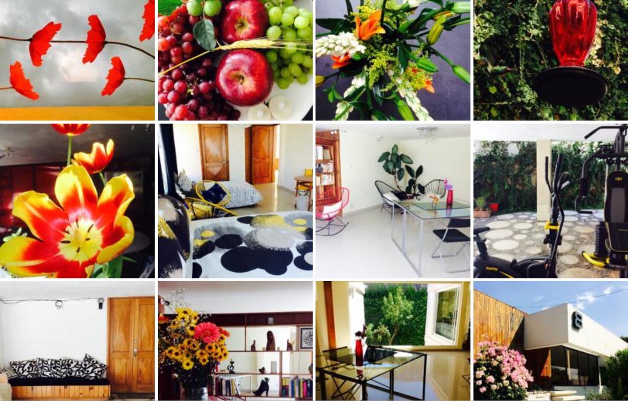 Casa Roa (Adults Only) Daire Meksika Dış mekan fotoğraf