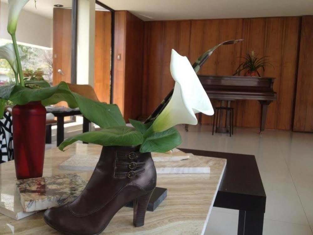 Casa Roa (Adults Only) Daire Meksika Dış mekan fotoğraf